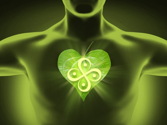 human-body-heart_GREEN